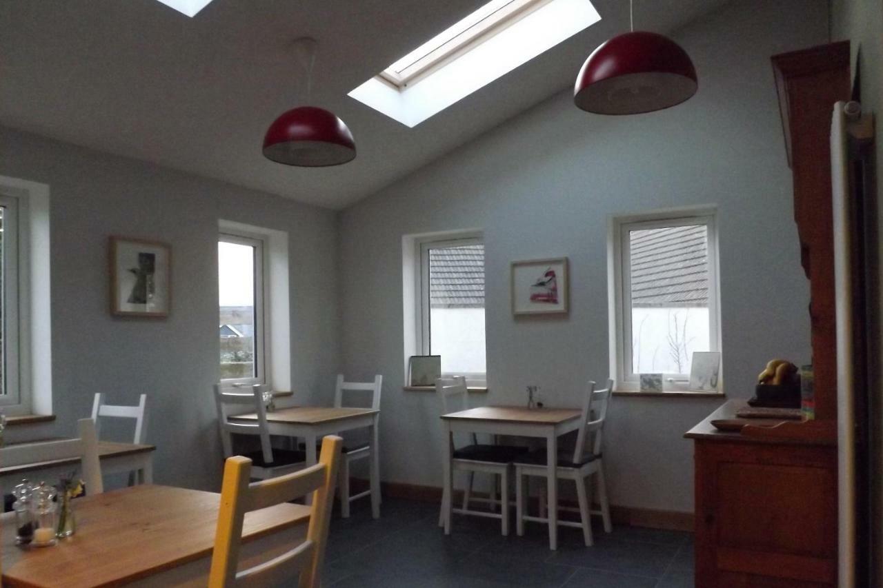 Ty Boia Bed & Breakfast St. Davids  Esterno foto