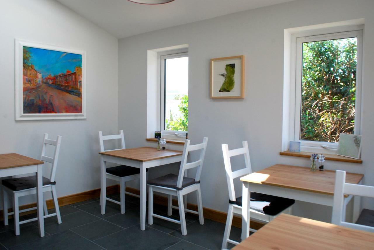 Ty Boia Bed & Breakfast St. Davids  Esterno foto